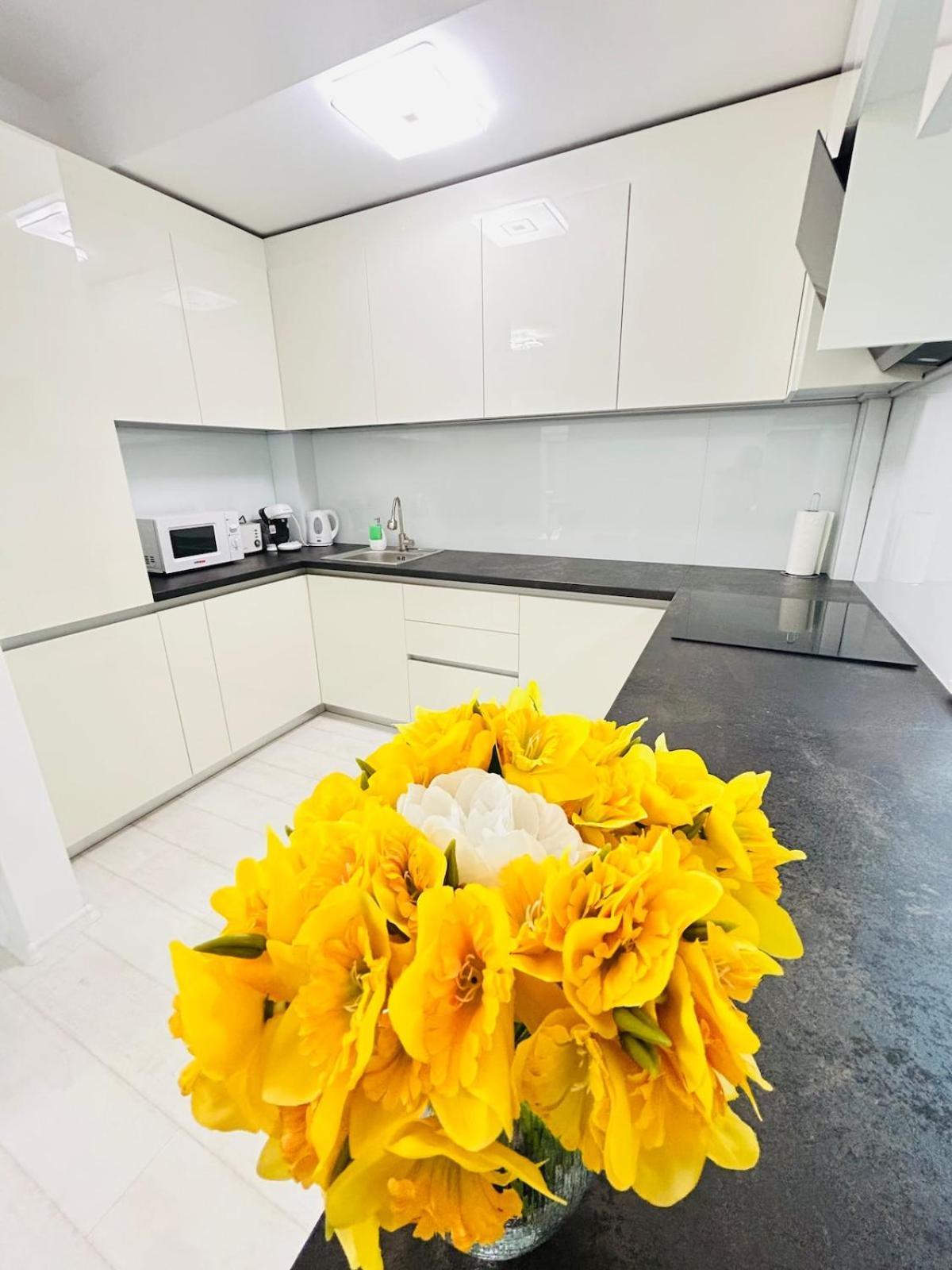 Apartament Chic Timişoara